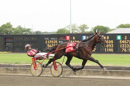 Broad Bahn, winner of the 2011 Hambletonian for 3-year old trotters. He was driven to victory by George Brennan, the kingpin of Yonkers Raceway.