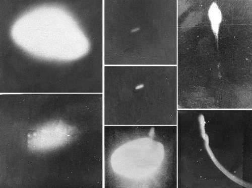 Photos of UFO's taken by the Brazilian government in 1977 (during Operation Saucer).