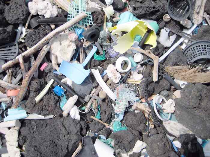 Waste on a Hawaiian beach