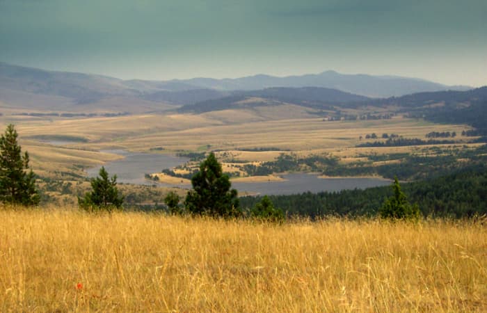 Summer in the Zlatibor Mountain
