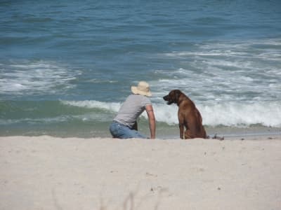 as fotos também podem destacar sua bondade como esta com um homem e seu cachorro.