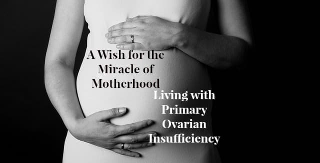 The pregnant belly of a woman is an everyday miracle most of us take for granted but some cannot achieve naturally.
