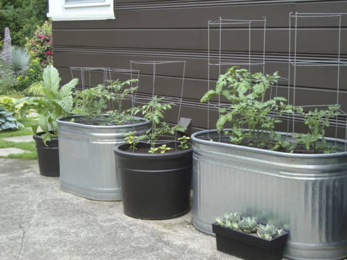 Here on this Hub Page you'll be able to learn everything you need to know about gardening in containers.