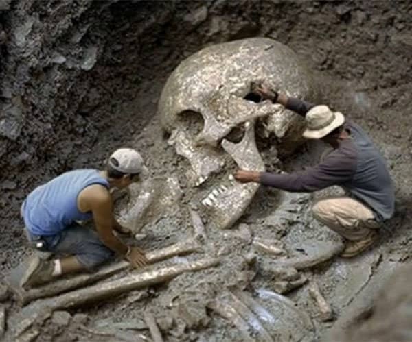 The are over 300 documented cases investigated and excavated by the Smithsonian Institute in the United States of giant skeletal remains.