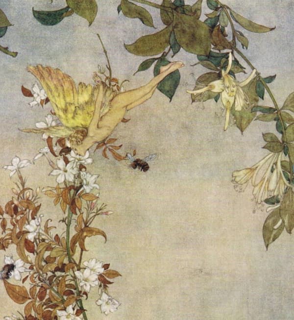 Here we show a portion of ' Where the bee sucks, there suck I' - it is from the suite by Edmund Dulac published in "The Tempest" (1908).