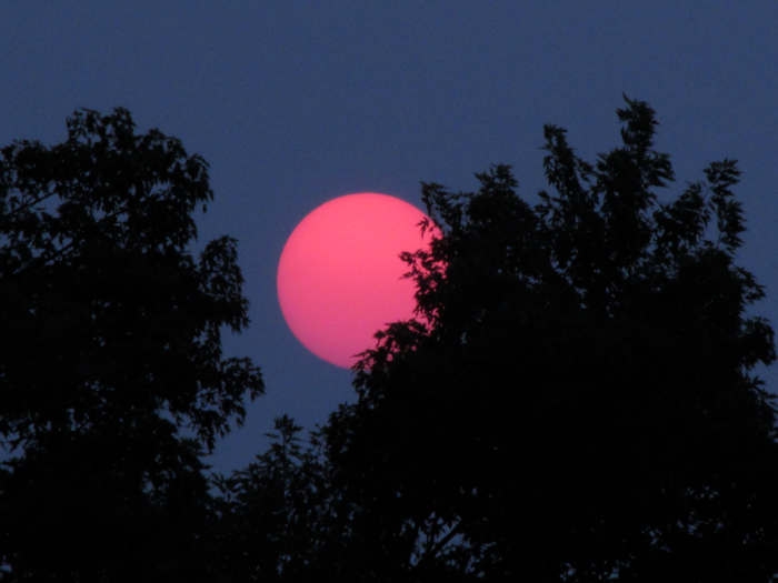 While I may never know what this image is I captured in the summer of 2015, it doesn't look like any photo I have ever seen of our Sun.