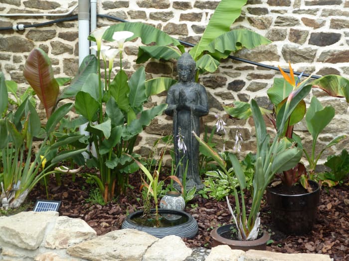 This article will break down how I created a microclimate for my banana plants to survive the winter months.
