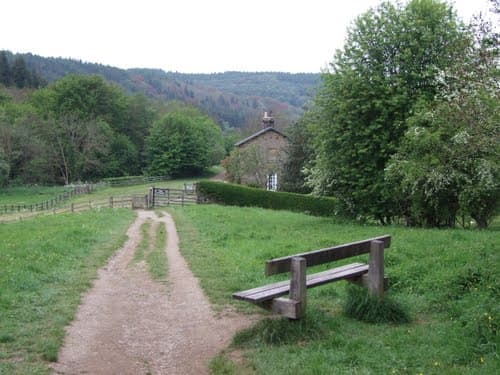 This view of the incline shows how steep it was. The station was about where the house stands on the right - I imagine the bench is for those who run out of puff at an early stage. I've climbed it at least once and it's a challenge all right.