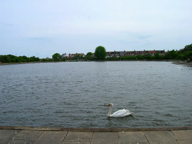 Crumbles Pond, Princes Park.