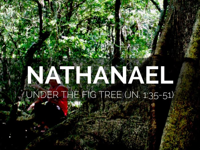 Traditionally believed to be literally under a tree when Jesus saw Nathanael, we now understand the fig tree reference to be a metaphor.