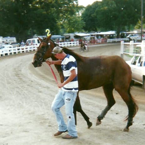 After the horrific flip in her first start and first time away from home, Wonder Buns, owned by Sharon E. Steinke of Pioneer, Ohio, is scratched and leaves the track in a subdued walk.