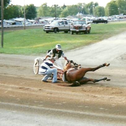 Wonder Buns was the poor Little Filly Who Couldn't on August 17, 2011 at the Henry County Fair in Napoleon, Ohio.