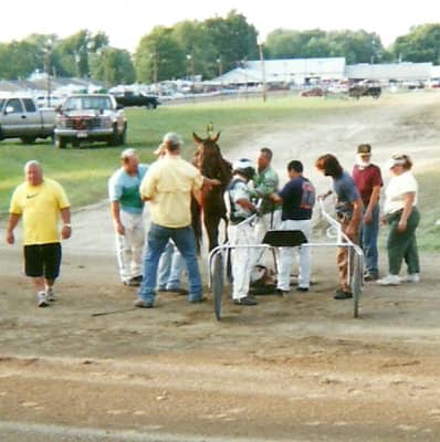 Fellow horsemen, handlers, and owners rushed to the track to assist in untangling reins and equipment and righting the frightened filly, who appeared unhurt.