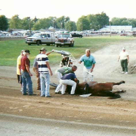 Fill-in Driver Randy Bates was able to jump ship from the sulky as Wonder Buns reared in the harness and flipped backwards to the ground.