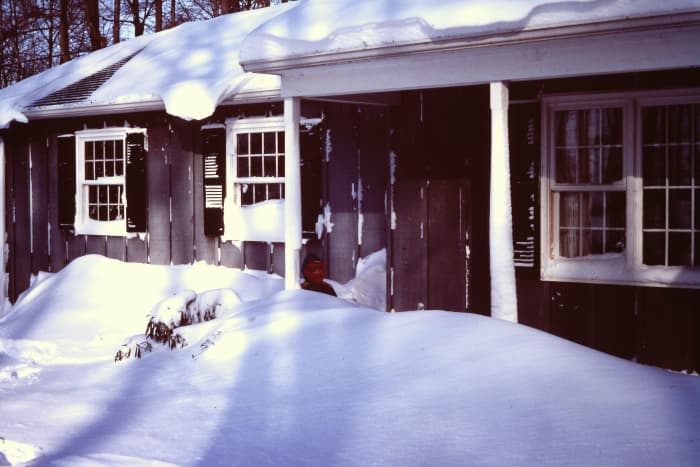 My six-year-old self discovering that even when the wind blows away some of the snow, it can still cover the rhododendrons.