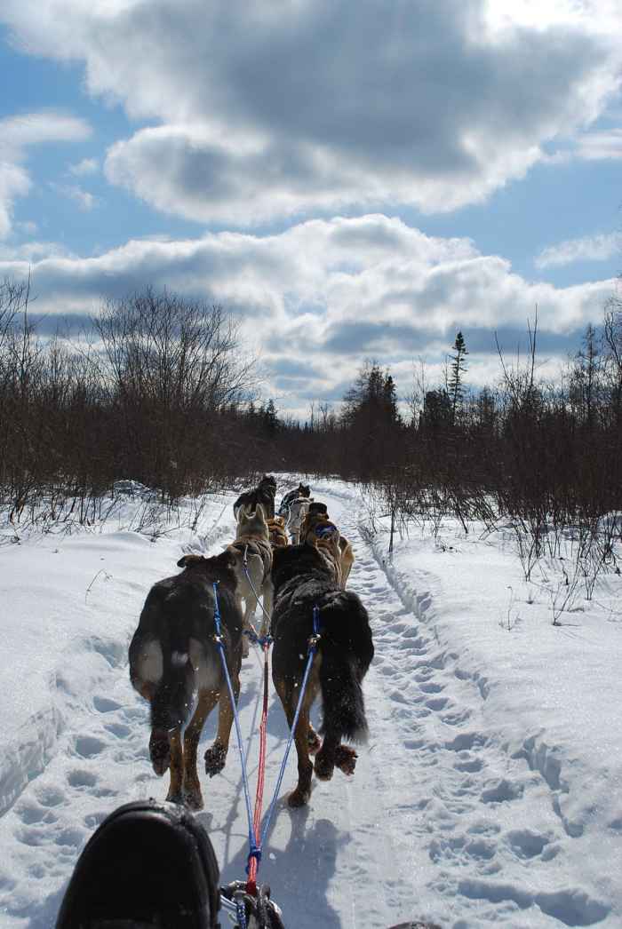 Photo courtesy Tom Walter