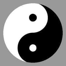 Humankind has the tendency to create strict dichotomies. Everything has its opposite. There cannot be lightness without darkness and vice versa.