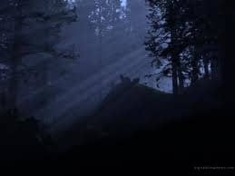 On the contrary, darkness and the dark side represent what is beneath the surface, strange, and forbidden.We were taught that the dark side symbolizes what is evil, sinister, and shadowy.