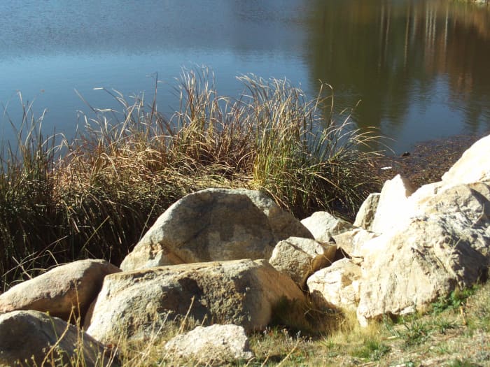 Boulders and reeds near the lake make it look serene. The reflection of the tree in the water is very enjoyable to look at.