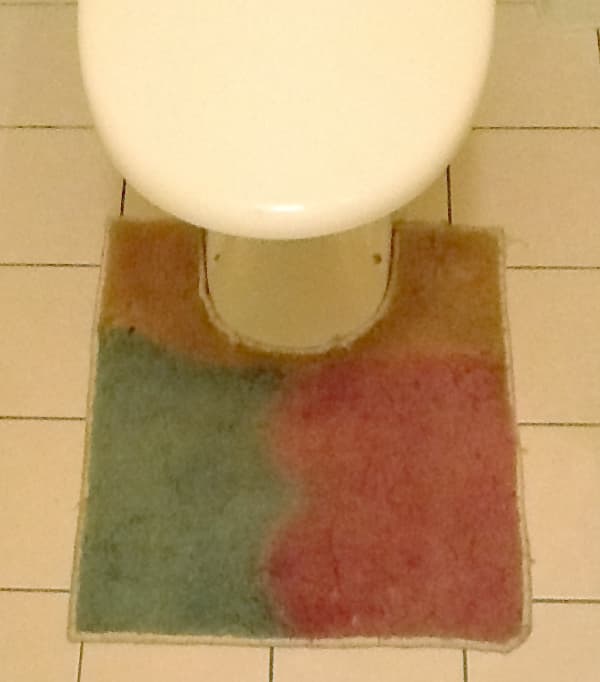 Toilet carpet dyeing this carpet was 22 when we dyed it in August 1996 now 16 years on it's 38 in 2012