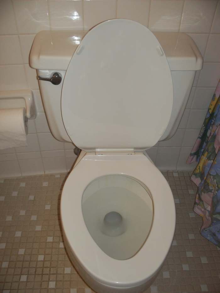 How to Flush the Toilet HubPages
