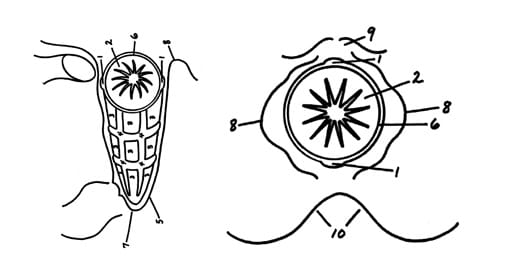 This "anti-rape device" was invented in the US. Inserted like a tampon it'll make quick work of slashing up the dangly bits of any unwanted intruders.