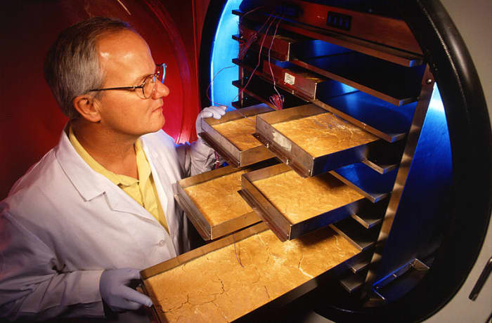 A scientist observes product frozen in freeze-dryer trays.