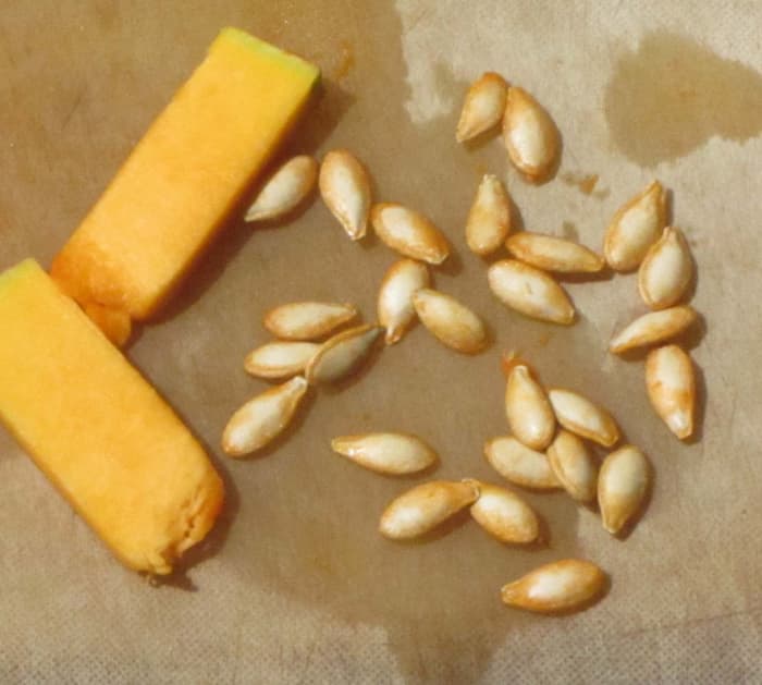 pumpkin seeds