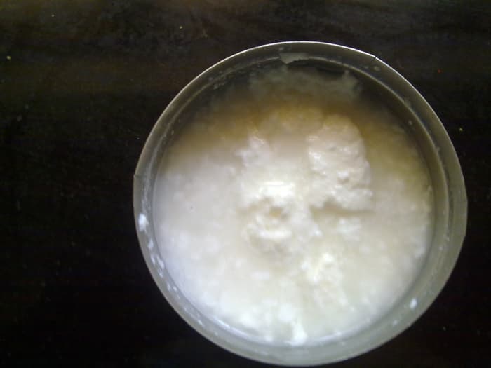 yogurt