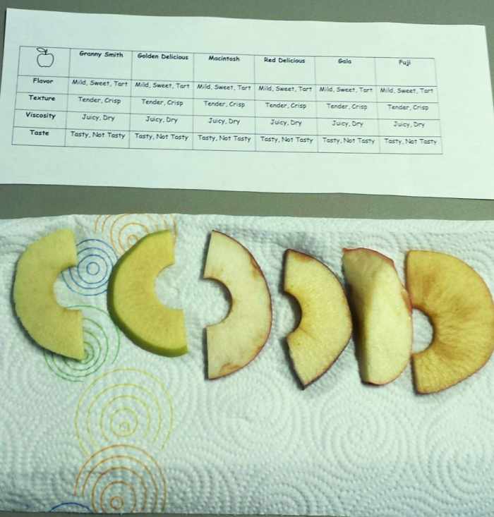 This photo of the apple tasting activity was taken by Victoria, one of the mothers in our co-op class.