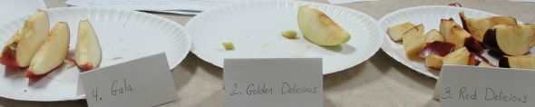 This apple tasting activity photo was taken by one of the mothers in our co-op class who operates Michelle Harrison Photography https://www.facebook.com/MichelleHarrisonPhotography
