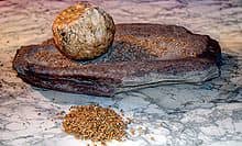 Wild grains were initially processed using a huge grindstone, it was extremely hard work, and a much tougher lifestyle than the hunter gatherer one.
