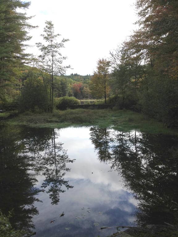 There is a small bridge that leads into the woods. To your left will be this small pond encircled by stone.