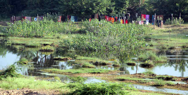 All the washermen and dhobis in town (and neighboring villages too) use the river to wash clothes.