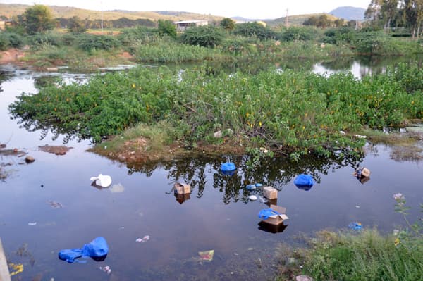 Plastic debris floating on the river. They have been callously cast into the holy river.