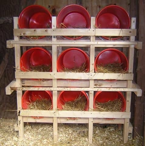 5 Gallon Buckets Make A Great Nest Box Set Up. Build A Wooden Frame To Hold Your 5 Gallon Buckets. Put Hay Or Straw In The Bottom Of The Buckets To Encourage Your Hens To Lay Their Eggs There.