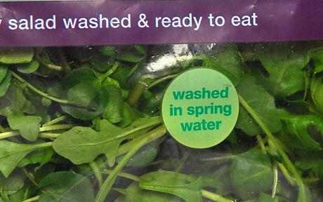 Salmonella bacteria can use their flagella to grip on to salad and vegetable leaves if they are fertilized with manure.