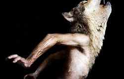 Many animals, both known and unknown, seem to thrive only in the darkest recesses of the night.