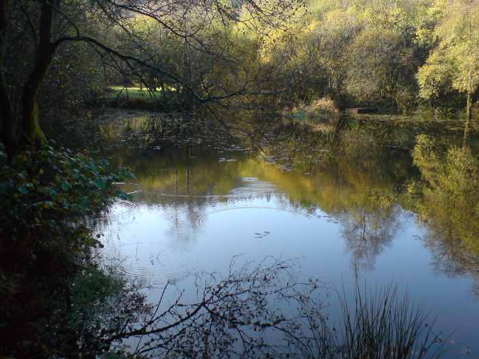 The Tamarind Lake Can Be Found in San Pablo, Laguna