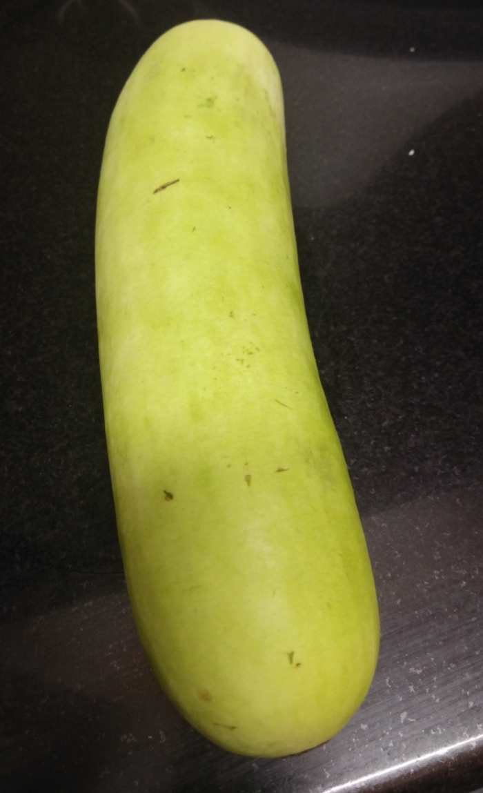 Tamil Nadu Style Bottle Gourd Sambar Recipe HubPages