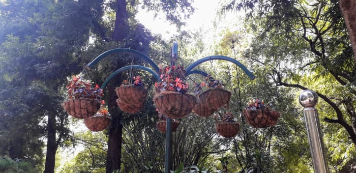 The walking corridors are lined up with raised flower pots all along the garden.