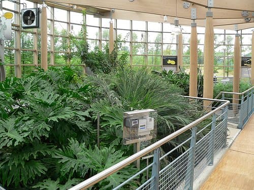 A living machine in action at the Emmen Zoo, Holland. This one treats 260,000 gallons of wastewater a day. Photo by Jean-Luc Toilet.