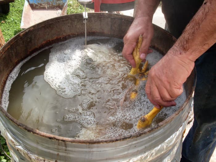 Hold under about 15 seconds (the lower the temperature, the longer - up to a couple minutes), then pluck immediately.