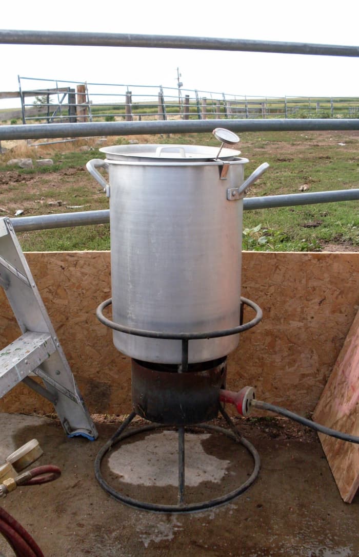 Add a bit of dish detergent to the water to help the heat penetrate and the feathers release. We kept the fryer in reserve, in case we needed more hot water in a hurry, and used...