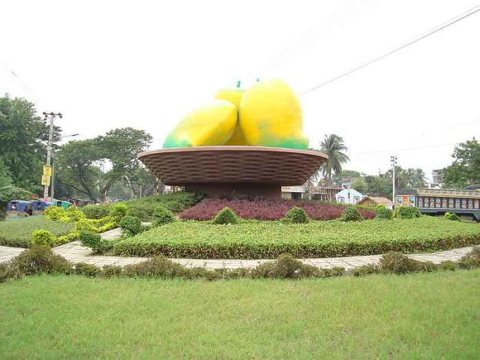 Giant mangoes in Bangladesh.