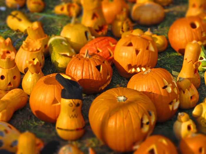 5-reasons-to-cut-your-pumpkin-from-the-bottom-hubpages