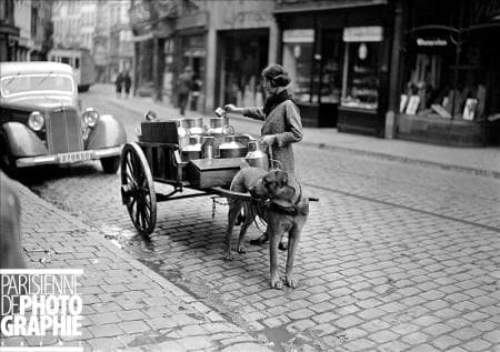 Dog drawn milk delivery cart. Paris 1941. Please note the apparently civilian car (Mercedes-Benz 170 ?) with German registration. Copyright LAPI/Roger-Viollet