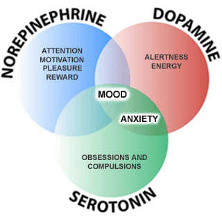 5-HTP 5 htp Is An Amino Acid That Is Created Every Time The Body Secretes Serotonin. We Supplement It When The Body Is Not Able To Secrete Enough Serotonin To Keep Our Moods Ballanced