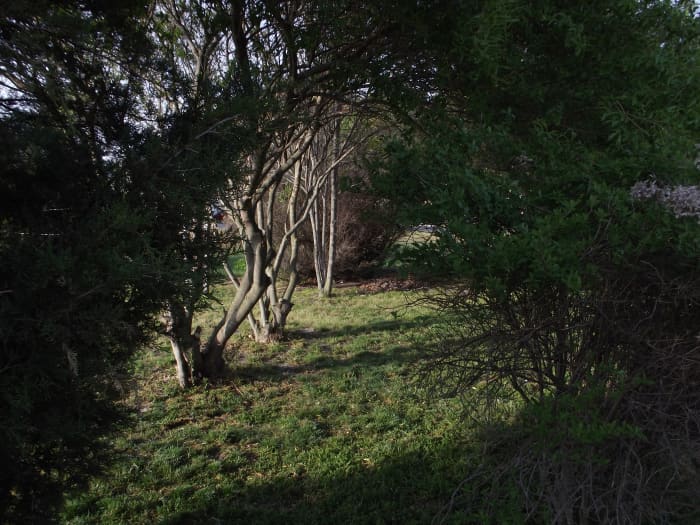 Just like a peaceful path in the forest... Religion doesn't have to be hateful and full of judgement. Picture taken by Dwayne Elliott and Melody Wilson Copyright © All Rights Reserved