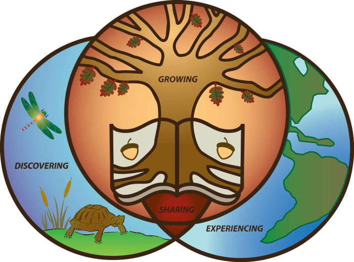 To be effective, the infusion of environmental education concepts in any subjects, so to speak, requires strategies and learning experiences that are planned, focused, experiential, participatory, anticipatory, and cumulative.